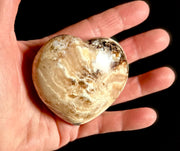 Large Boulder Opal Heart